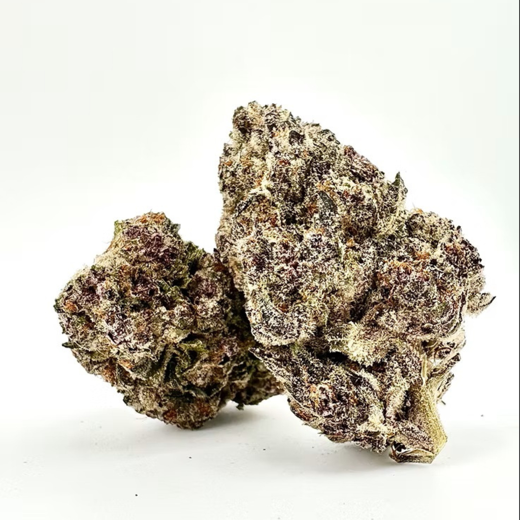 Sub Zero | Small Batch Indoor | Organic Living Soil