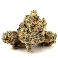 French Lotus | Small Batch Indoor | Organic Living Soil