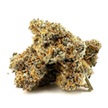 Rainbow Belts | Craft Batch Indoor | Organic Living Soil